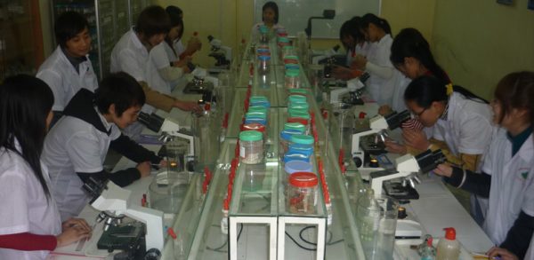 Khóa học châm cứu cơ bản tại Hà Nam 2026