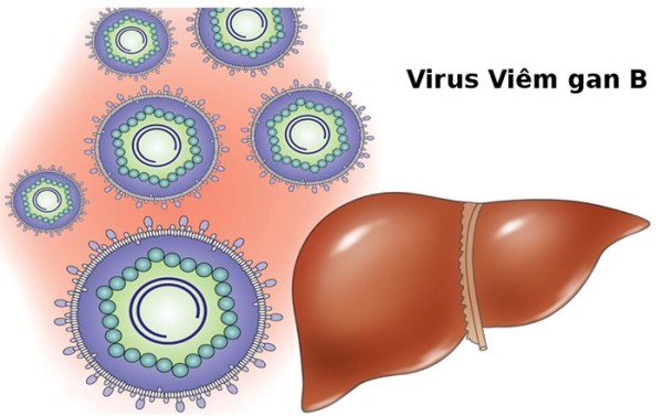 Bệnh viêm gan B có lây qua đường nước bọt không?