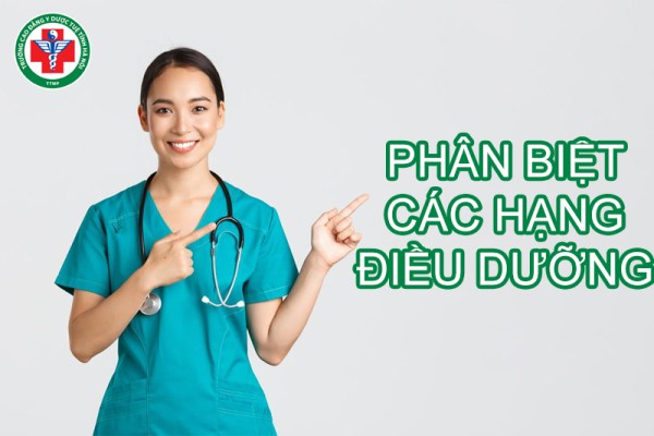Điều dưỡng hạng 2, 3, 4: Cách phân biệt và tiêu chuẩn từng hạng
