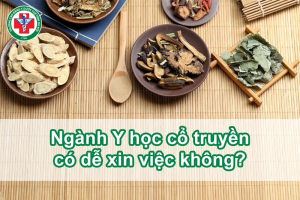 Ngành Y học cổ truyền có dễ xin việc không? [Tư vấn công việc]