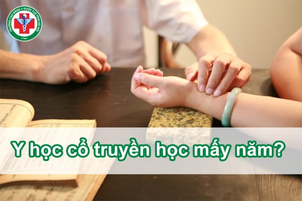 Y học cổ truyền học mấy năm? Chi tiết các hệ đào tạo