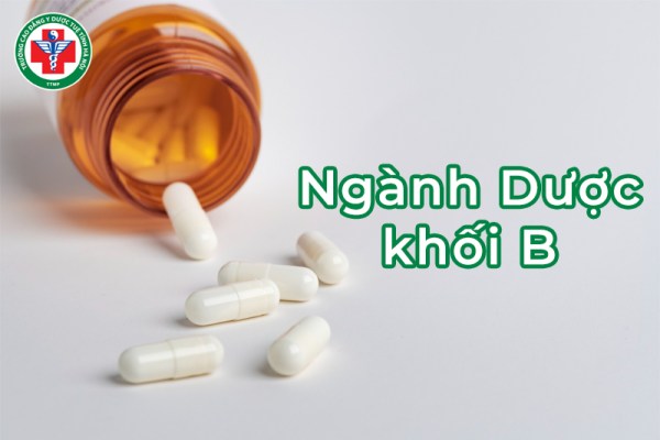 Ngành Dược khối B và 5 thông tin quan trọng bạn cần biết