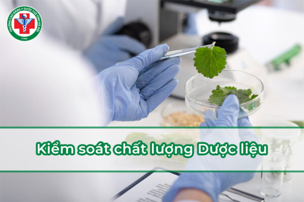 Kiểm soát chất lượng Dược liệu là gì? Chi tiết về những quy định