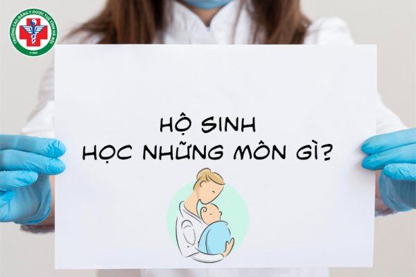 Hộ sinh học những môn gì? Chi tiết các môn học ngành Hộ sinh