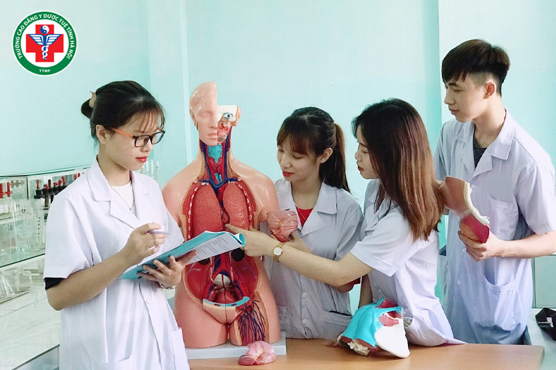 Cao đẳng Y Dược Tuệ Tĩnh có chương trình đào tạo ngành vật lý trị liệu bài bản