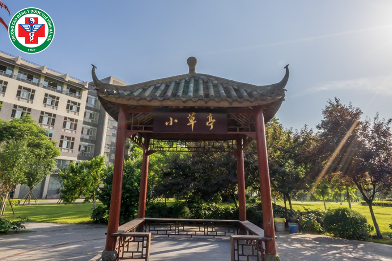 Du học Trung Quốc ngành y học cổ truyền có nhiều học bổng