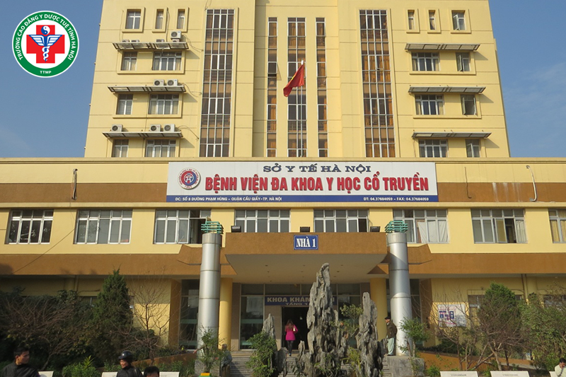Học y học cổ truyền có thể làm việc trong các môi trường đa dạng