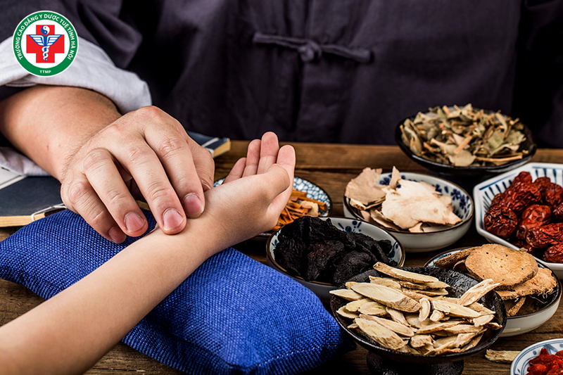 Ngành y học cổ truyền hiện nay mở ra nhiều cơ hội việc làm