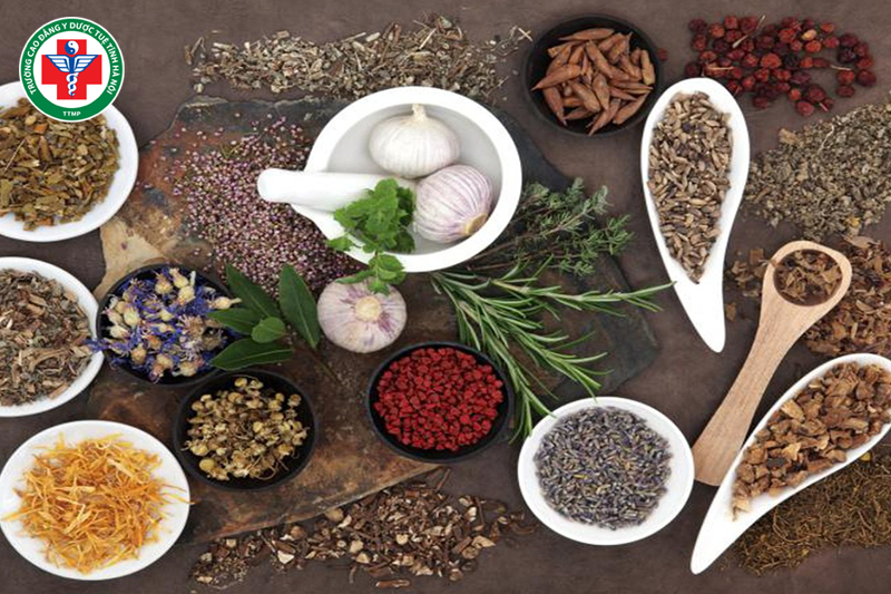 Ngành y học cổ truyền hiện nay đang phát triển mạnh mẽ