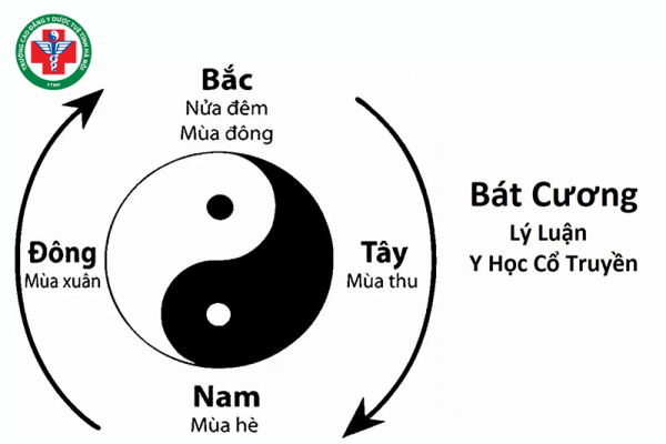 Bát cương theo y học cổ truyền: ý nghĩa và nguyên tắc