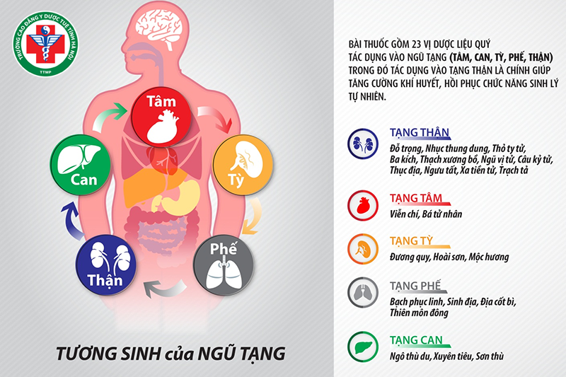 Các tạng trong ngũ tạng