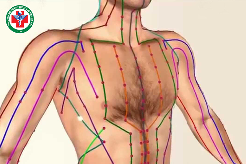 Học thuyết kinh lạc điều trị bệnh thông qua các huyệt đạo
