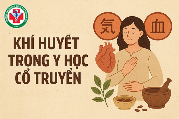 Khí huyết trong y học cổ truyền là gì? Các loại rối loạn thường gặp