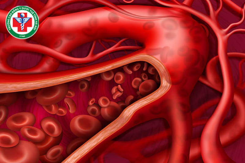 Huyết là vật chất nuôi dưỡng cơ thể