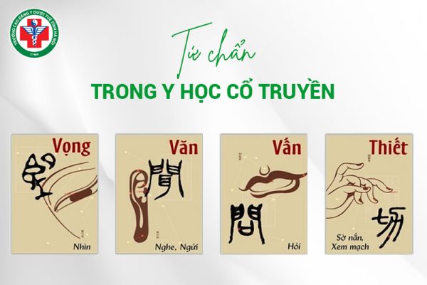 Tứ chẩn trong y học cổ truyền: Vai trò và ứng dụng trong biện chứng luận trị