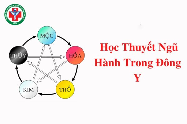 Học thuyết Ngũ Hành là gì? Ứng dụng trong Y học cổ truyền và đời sống