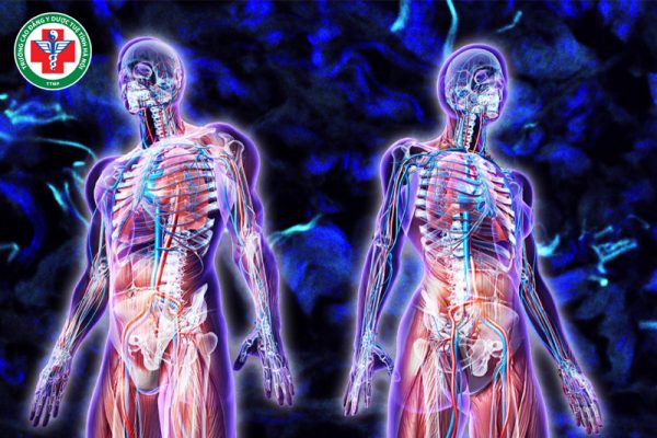 Lục phủ ngũ tạng trong Đông Y: Nền tảng của học thuyết sinh lý và bệnh lý