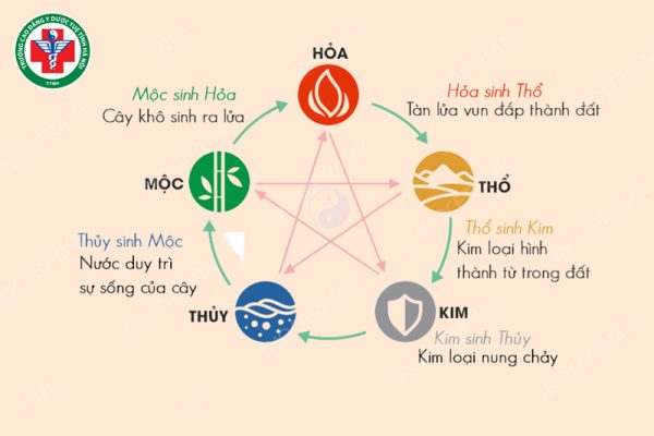 Mối quan hệ Ngũ Hành và Lục Phủ Ngũ Tạng trong Đông y