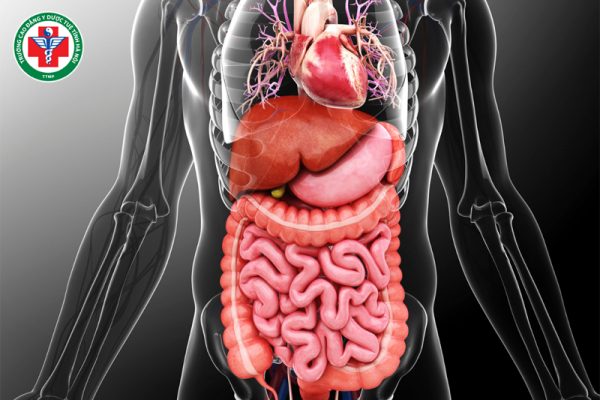 Tam tiêu trong Y học cổ truyền: Chức năng và ứng dụng hiện nay