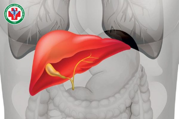 Tạng Can trong Y học cổ truyền: Vai trò, điều trị và ứng dụng thực tiễn