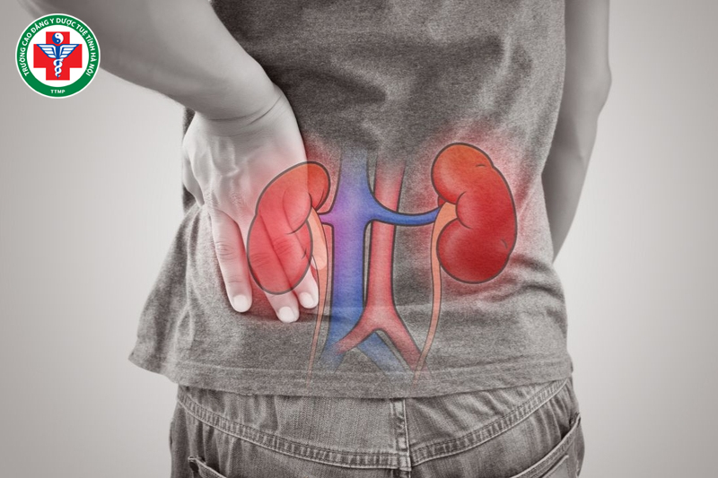 Phế chủ hô hấp, Thận nạp khí