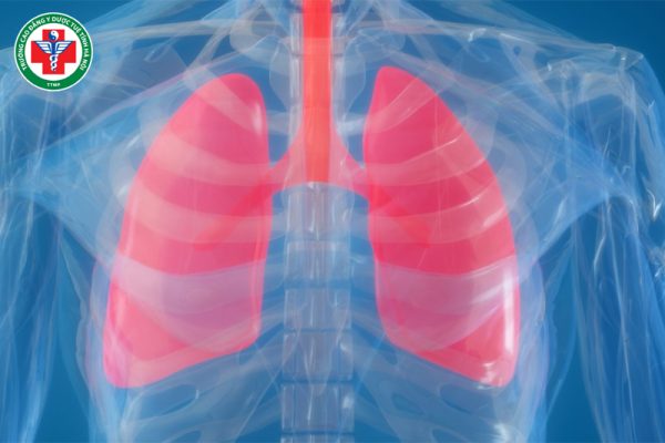 Tạng phế trong Đông y: Vai trò, chức năng và cách dưỡng phế hiệu quả