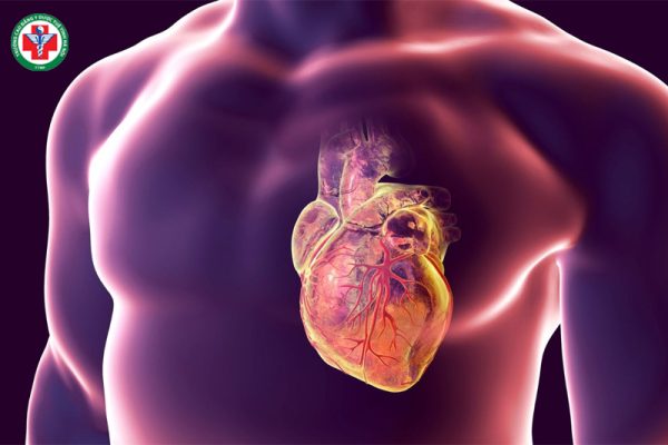 Tạng Tâm trong Y học cổ truyền: Vai trò, đặc tính và bệnh lý thường gặp