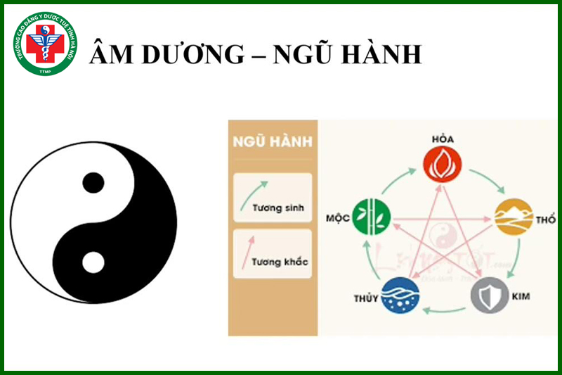 Học thuyết Âm Dương Ngũ Hành trong Y học cổ truyền: Cơ sở lý luận và ứng dụng