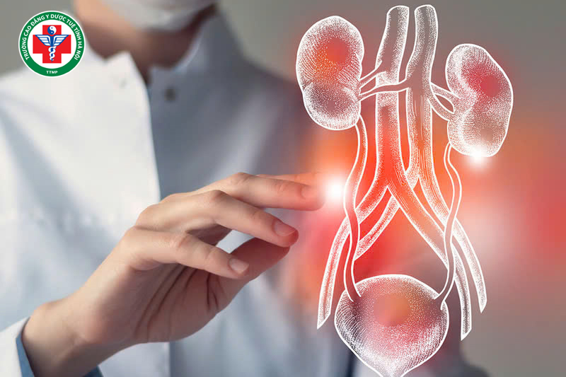 Các bệnh sinh dục – tiết niệu và phụ khoa thường liên quan mật thiết đến Nhâm mạch, Xung mạch và Đới mạch