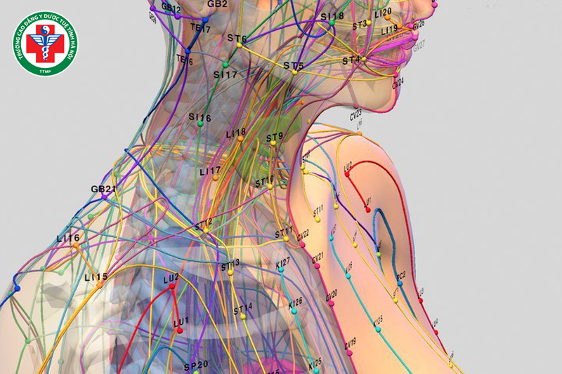Kinh lạc trong Y học cổ truyền: Cấu trúc, Vai trò và ứng dụng điều trị