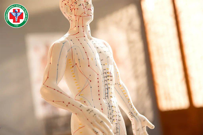 Kinh lạc là yếu tố trung gian phản ánh và dẫn truyền các rối loạn trong cơ thể