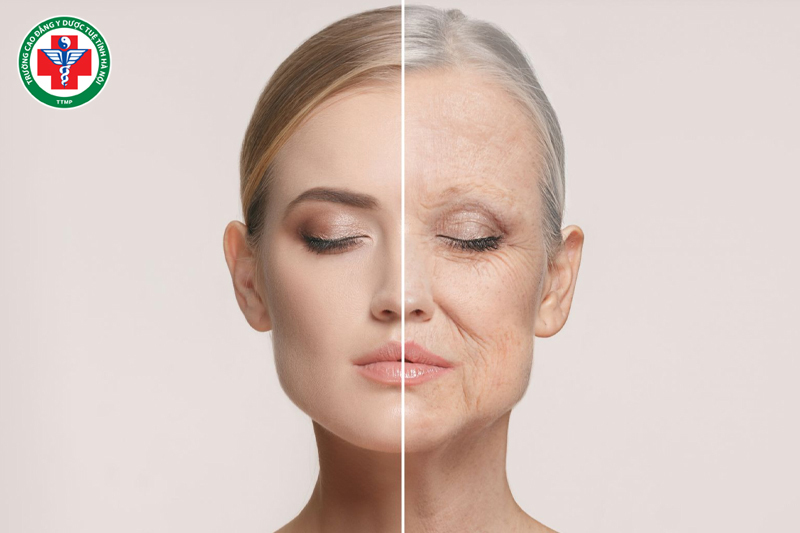 Tinh suy giảm dẫn đến lão hóa nhanh