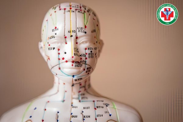 Huyệt đạo trong Đông y là gì? Vai trò và ứng dụng trong chăm sóc sức khỏe