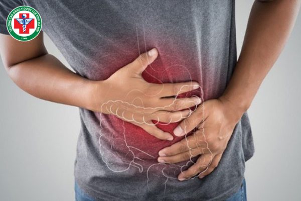 Tỳ vị trong Y học cổ truyền: Nền tảng khí huyết và sức khỏe toàn thân