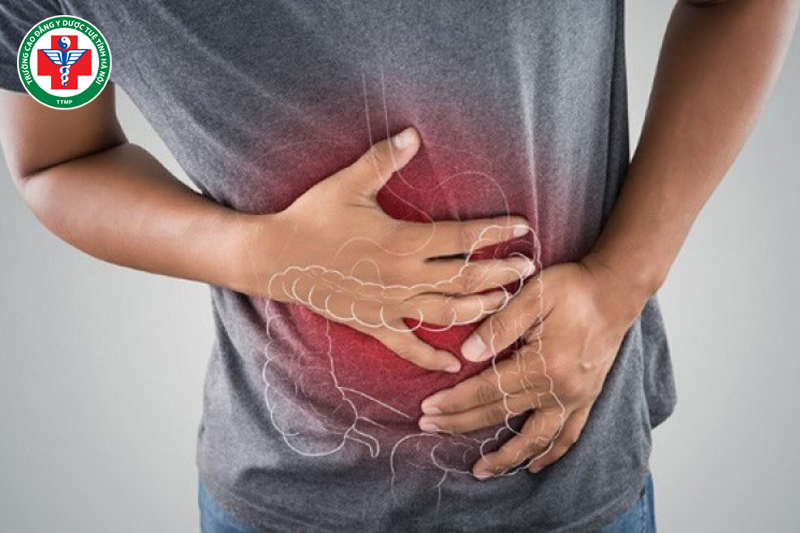 Tỳ vị trong Y học cổ truyền: Nền tảng khí huyết và sức khỏe toàn thân