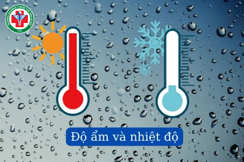 Thấp tà thường liên quan đến môi trường ẩm ướt