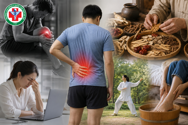 Thấp tà là gì? Nguyên nhân, biểu hiện và cách loại bỏ thấp tà theo Đông y