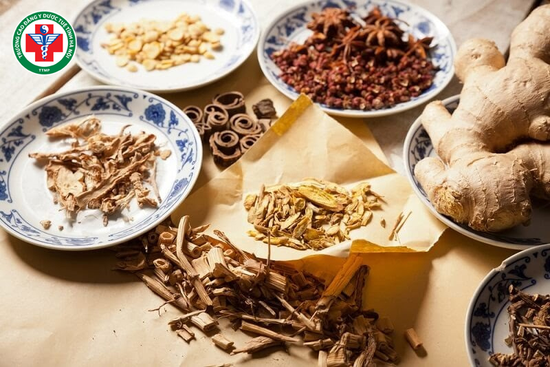 Điều trị bệnh bằng thuốc Đông y