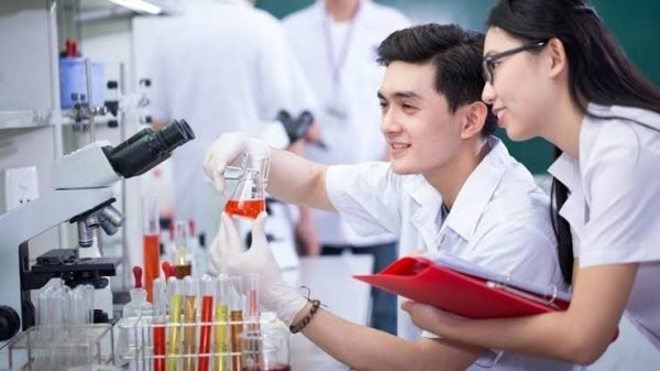 Liên thông Y Dược: Hiểu đúng lộ trình trước khi đăng ký học