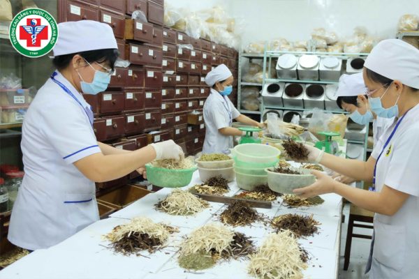 Y học cổ truyền là gì? 4 trụ cột lý luận và 4 nhóm phương pháp điều trị