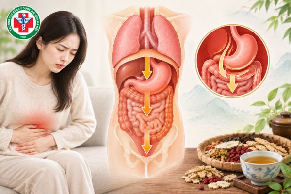 Chứng Trung khí hạ hãm: Nguyên nhân, triệu chứng và cách điều trị