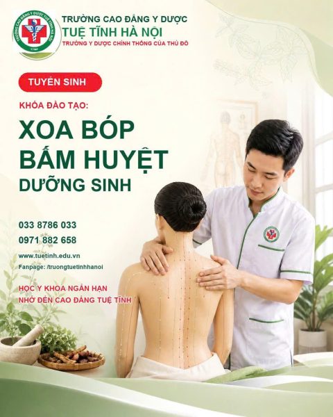 Khóa học bào chế đông dược tại Hà Nam